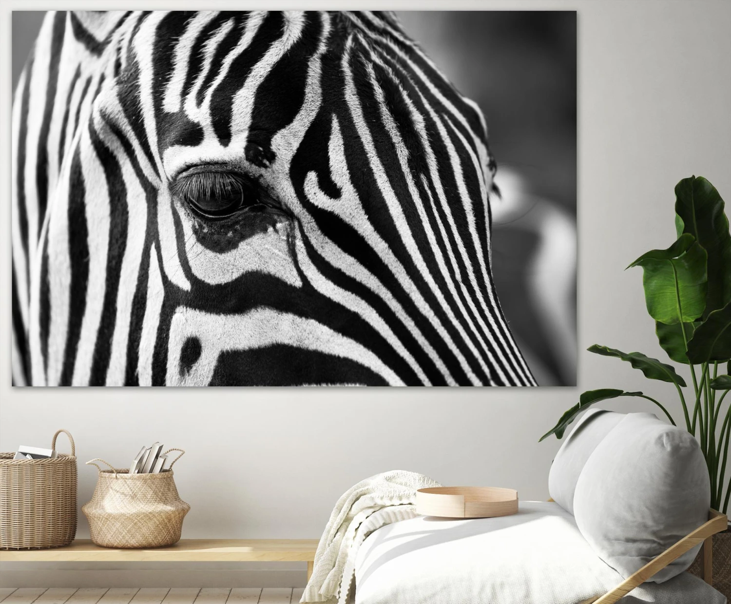 Zoomed Zebra - Image 4