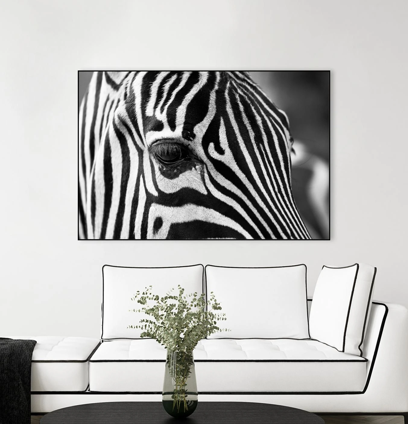 Zoomed Zebra - Image 15