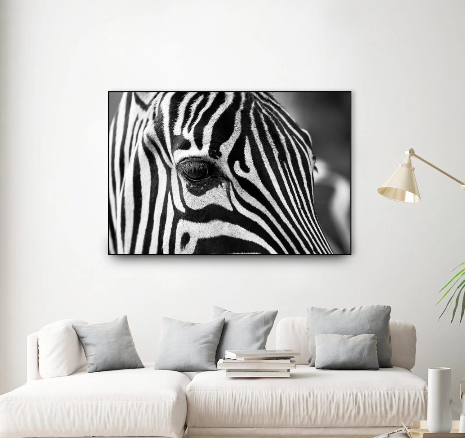 Zoomed Zebra - Image 14