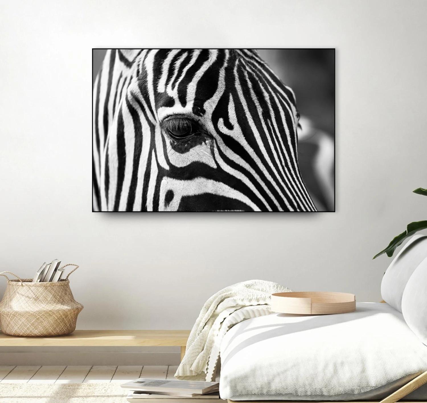 Zoomed Zebra - Image 13