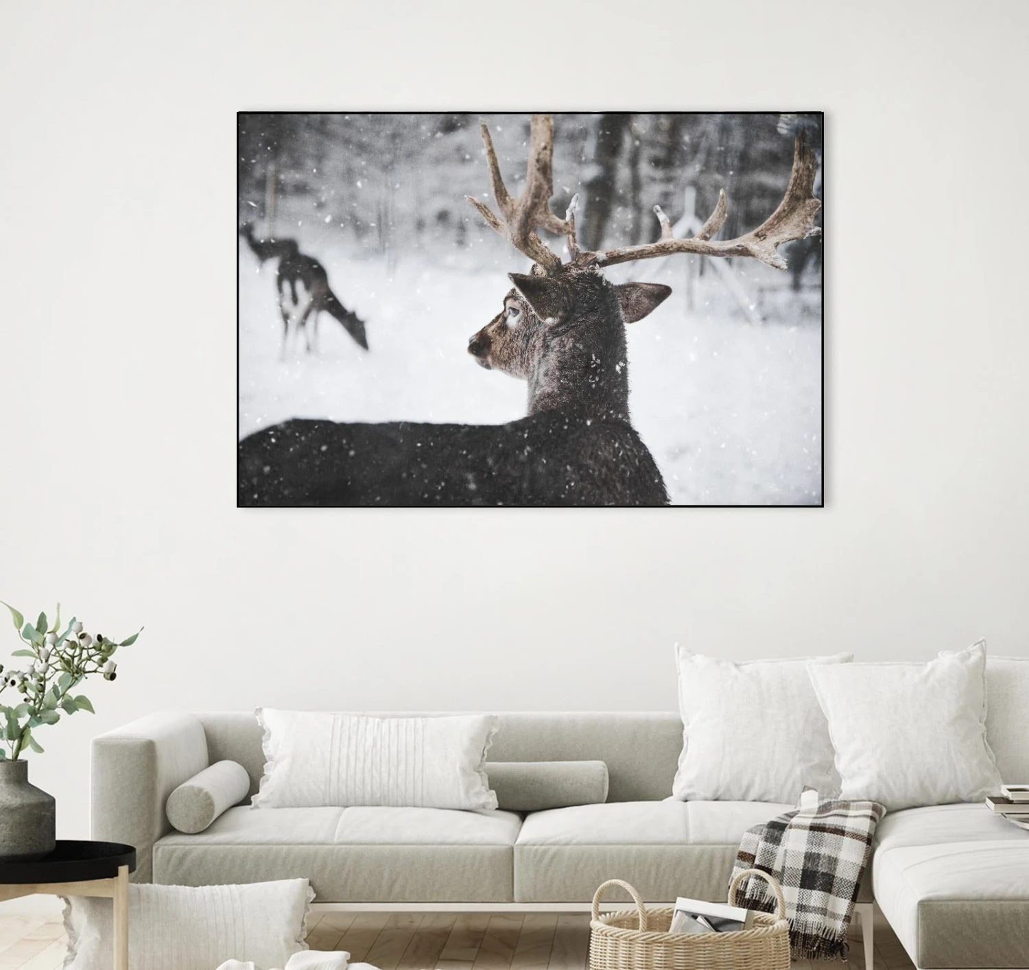 Deers - Image 16